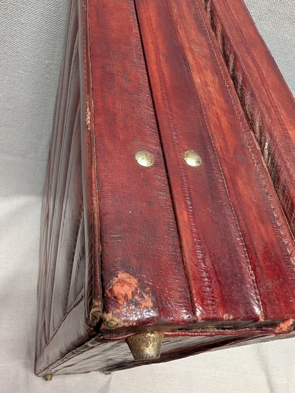 eel skin classic genuine